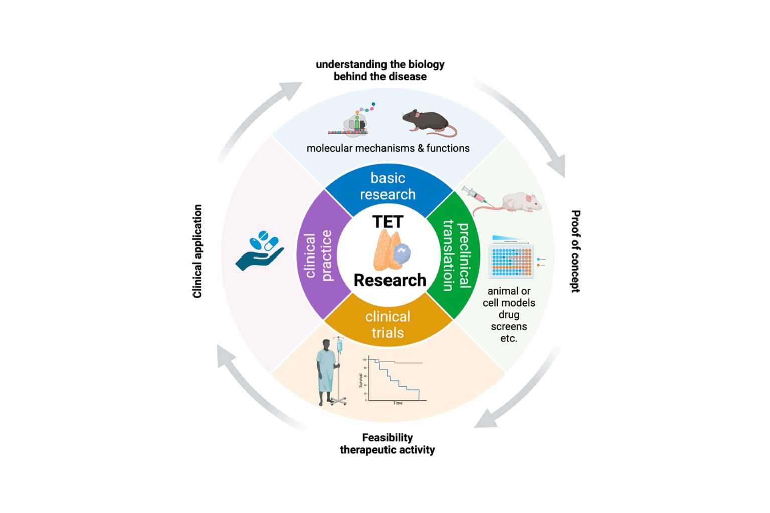 Research Opportunities